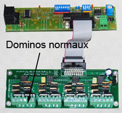 Dominaux normaux