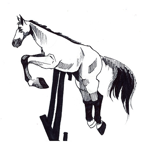 Cheval jump