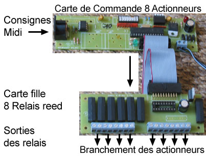 Branchement des relais Reed sur la carte Midi.