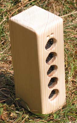 Split Midi en boîtier en bois.