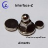 Accessories for interactive devices