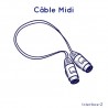 Câble Midi pour cartes Interface-Z