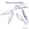 Interrupteur à Pinces Crocodile Interface-Z