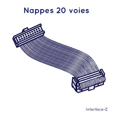 Connectique pour actionneurs Interface-Z, nappe 20 points