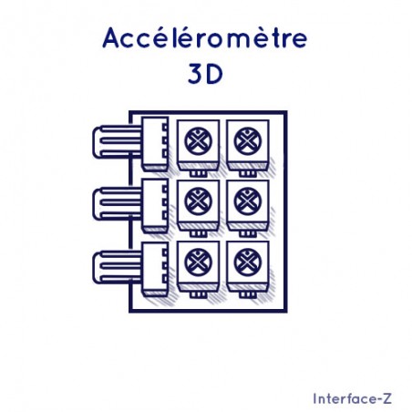 Variantes : 2 axes ou 3 axes, accéléro ou inclino