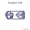 Coupleur XLR changeur de genre