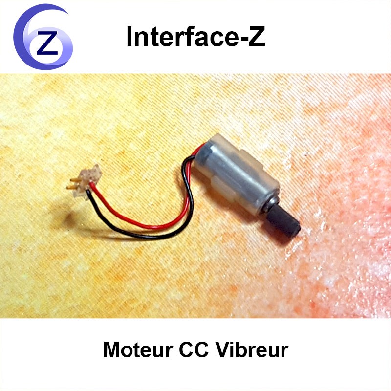 Mini moteur Vibreur courant continu 1,5V à 6V