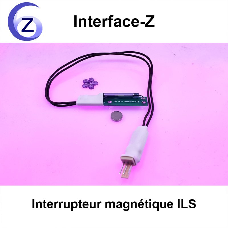 Interrupteur magnétique