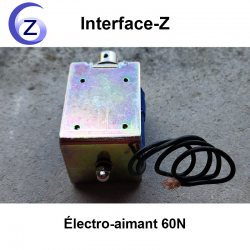 12 Volts