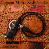 Adapteur Midi - XLR femelle