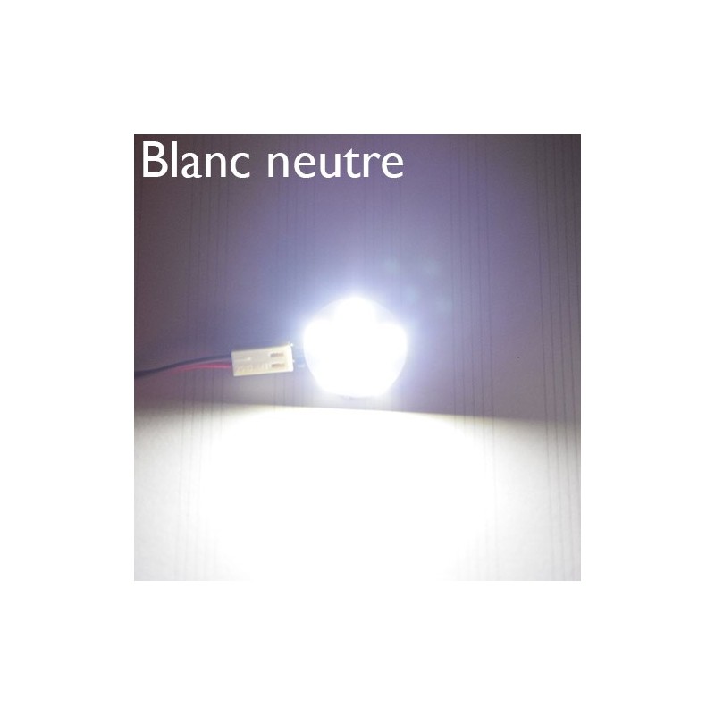 Ampoule LED blanc neutre, sur feuille de papier