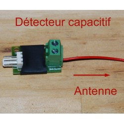 Détecteur capacitif, capteur associé à une antenne conductrice