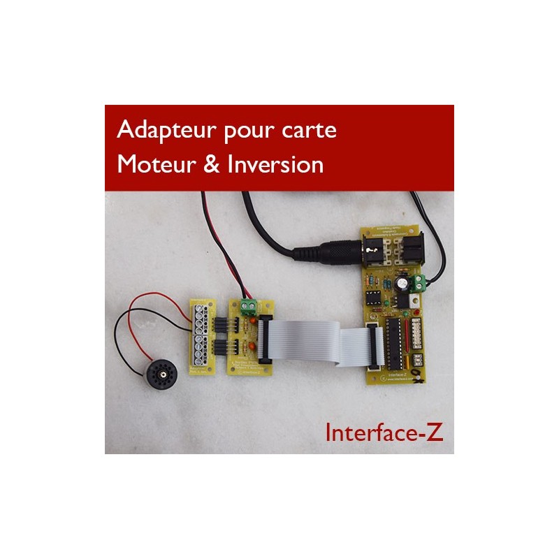 Moteur courant continu + adapteur dominos pour carte Bidi