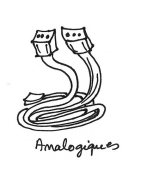 Entrées Analogiques